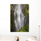 Hawaii, Maui, Kipahulu, Wailua falls Wall Mural