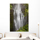 Hawaii, Maui, Kipahulu, Wailua falls Wall Mural
