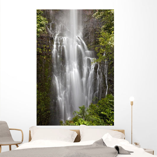Hawaii, Maui, Kipahulu, Wailua falls Wall Mural