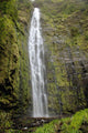 Hawaii, Maui, A waterfall in Kipahulu with lush foliage Wall Mural