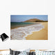 Hawaii, Maui, Makena, Big Beach on a sunny day Wall Mural
