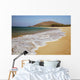 Hawaii, Maui, Makena, Big Beach on a sunny day Wall Mural