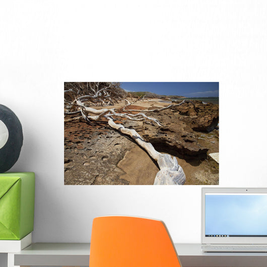 Hawaii, Lanai, Shipwreck Beach, Kaiolohia, Driftwood on Beach Wall Mural