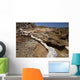 Hawaii, Lanai, Shipwreck Beach, Kaiolohia, Driftwood on Beach Wall Mural