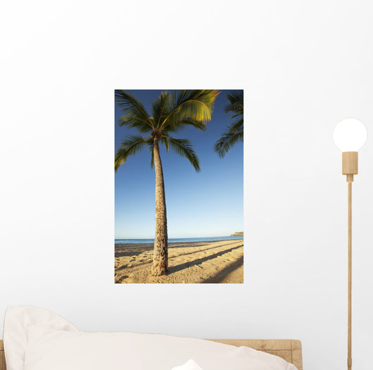 Hawaii, Lanai, Hulope Beach, Tall palm trees on a beautiful beach Wall Mural