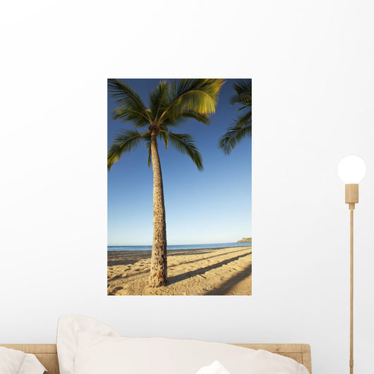 Hawaii, Lanai, Hulope Beach, Tall palm trees on a beautiful beach Wall Mural