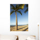 Hawaii, Lanai, Hulope Beach, Tall palm trees on a beautiful beach Wall Mural