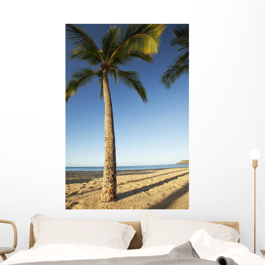 Hawaii, Lanai, Hulope Beach, Tall palm trees on a beautiful beach Wall Mural