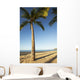 Hawaii, Lanai, Hulope Beach, Tall palm trees on a beautiful beach Wall Mural