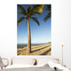 Hawaii, Lanai, Hulope Beach, Tall palm trees on a beautiful beach Wall Mural