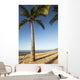 Hawaii, Lanai, Hulope Beach, Tall palm trees on a beautiful beach Wall Mural