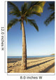Hawaii, Lanai, Hulope Beach, Tall palm trees on a beautiful beach Wall Mural