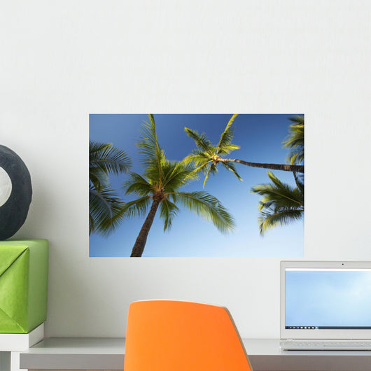 Hawaii, Lanai, Hulope Beach, Plam trees from below Wall Mural