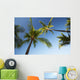 Hawaii, Lanai, Hulope Beach, Plam trees from below Wall Mural
