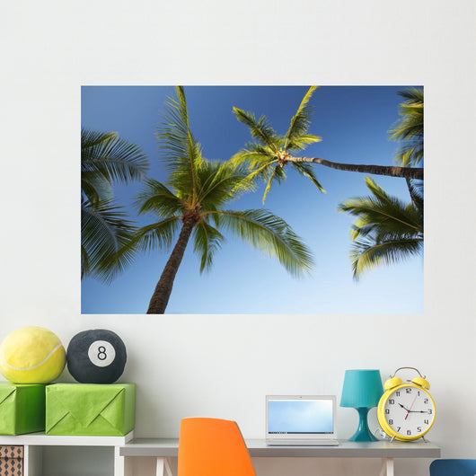 Hawaii, Lanai, Hulope Beach, Plam trees from below Wall Mural