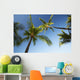 Hawaii, Lanai, Hulope Beach, Plam trees from below Wall Mural