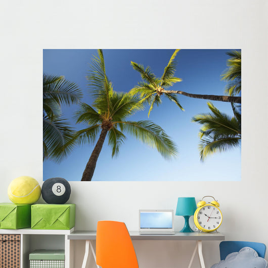 Hawaii, Lanai, Hulope Beach, Plam trees from below Wall Mural