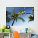 Hawaii, Lanai, Hulope Beach, Plam trees from below Wall Mural