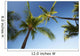 Hawaii, Lanai, Hulope Beach, Plam trees from below Wall Mural