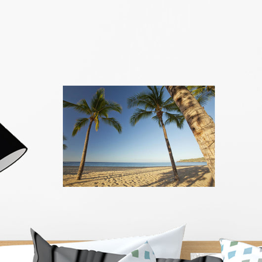 Hawaii, Lanai, Hulopoe Beach, Tall palm trees on a beautiful beach Wall Mural