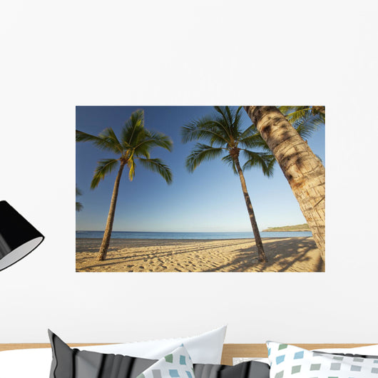 Hawaii, Lanai, Hulopoe Beach, Tall palm trees on a beautiful beach Wall Mural
