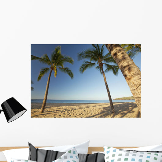 Hawaii, Lanai, Hulopoe Beach, Tall palm trees on a beautiful beach Wall Mural