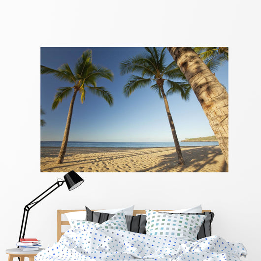 Hawaii, Lanai, Hulopoe Beach, Tall palm trees on a beautiful beach Wall Mural