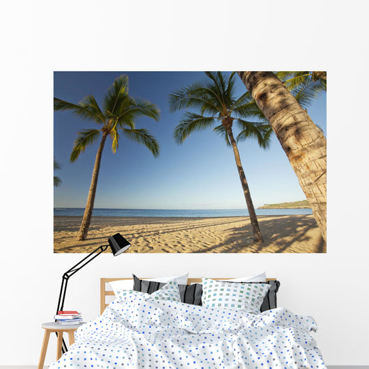 Hawaii, Lanai, Hulopoe Beach, Tall palm trees on a beautiful beach Wall Mural