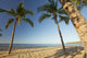 Hawaii, Lanai, Hulopoe Beach, Tall palm trees on a beautiful beach Wall Mural
