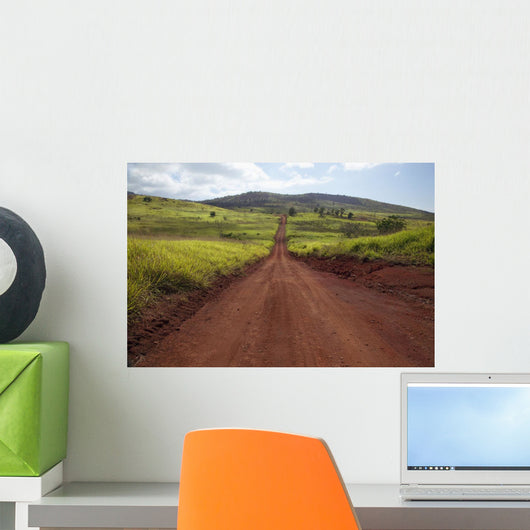 Hawaii, Lanai, The long red dirt road of Munrow Trail Wall Mural