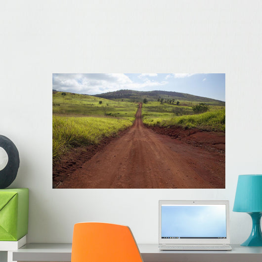 Hawaii, Lanai, The long red dirt road of Munrow Trail Wall Mural