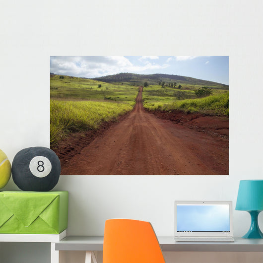 Hawaii, Lanai, The long red dirt road of Munrow Trail Wall Mural