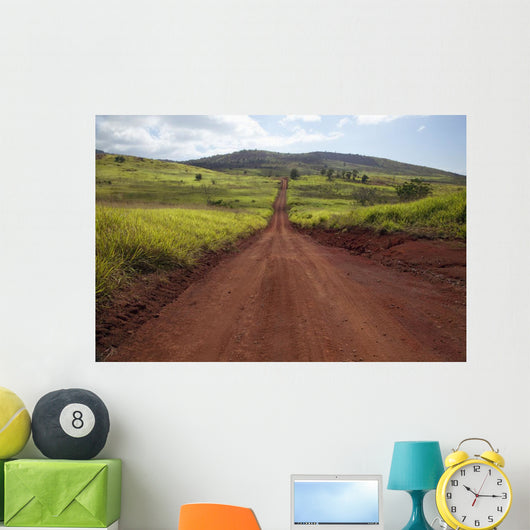 Hawaii, Lanai, The long red dirt road of Munrow Trail Wall Mural