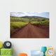 Hawaii, Lanai, The long red dirt road of Munrow Trail Wall Mural
