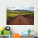 Hawaii, Lanai, The long red dirt road of Munrow Trail Wall Mural