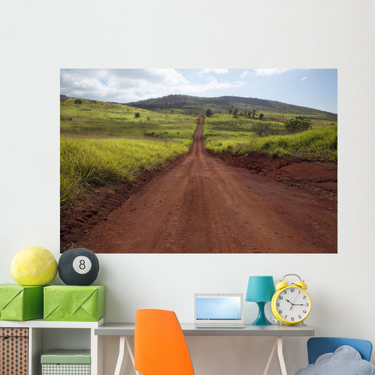 Hawaii, Lanai, The long red dirt road of Munrow Trail Wall Mural