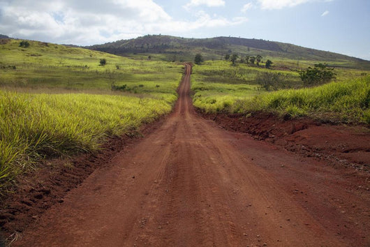 Hawaii, Lanai, The long red dirt road of Munrow Trail Wall Mural