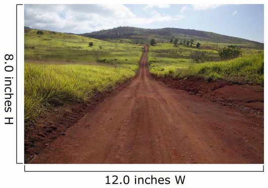Hawaii, Lanai, The long red dirt road of Munrow Trail Wall Mural