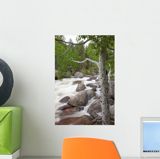 Colorado, Rocky Mountains, A raging river with lush foliage Wall Mural