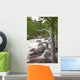 Colorado, Rocky Mountains, A raging river with lush foliage Wall Mural