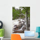 Colorado, Rocky Mountains, A raging river with lush foliage Wall Mural