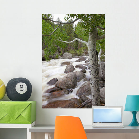 Colorado, Rocky Mountains, A raging river with lush foliage Wall Mural