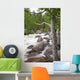 Colorado, Rocky Mountains, A raging river with lush foliage Wall Mural