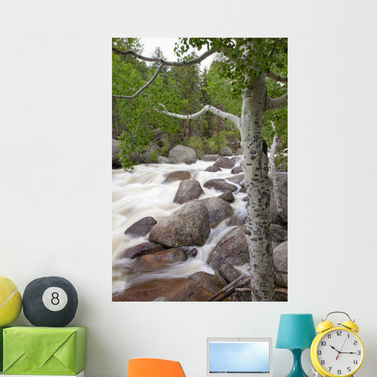 Colorado, Rocky Mountains, A raging river with lush foliage Wall Mural