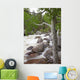 Colorado, Rocky Mountains, A raging river with lush foliage Wall Mural