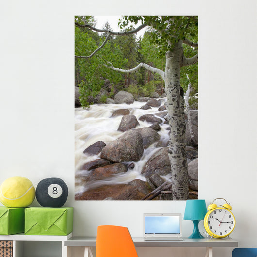 Colorado, Rocky Mountains, A raging river with lush foliage Wall Mural