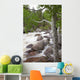 Colorado, Rocky Mountains, A raging river with lush foliage Wall Mural