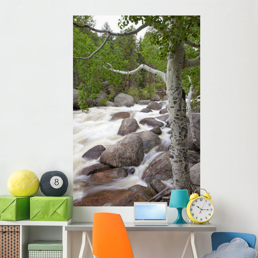 Colorado, Rocky Mountains, A raging river with lush foliage Wall Mural