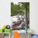 Colorado, Rocky Mountains, A raging river with lush foliage Wall Mural