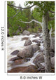 Colorado, Rocky Mountains, A raging river with lush foliage Wall Mural